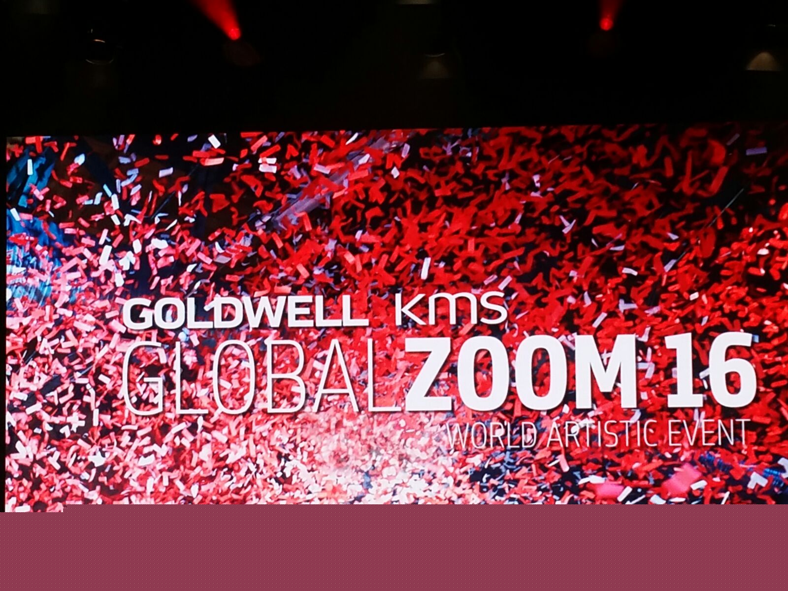 Wir waren von 1. bis zum 3. Oktober in Stockholm bei Global Color Zoom von Goldwell und haben neue Trends für 2017 mitgebracht!