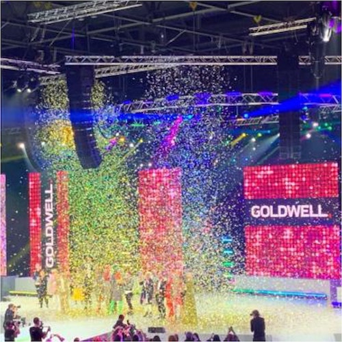 Goldwell Color Zoom